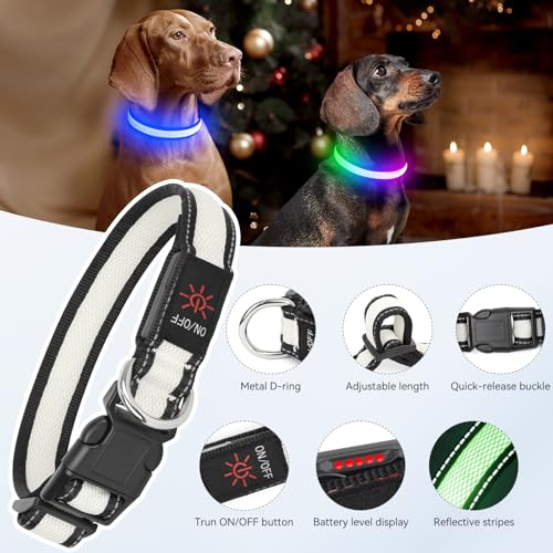 Flashseen Multicolor LED Light Up Dog Collar, RGB 9-Mode, USB Rechargable - color: White, size: Small