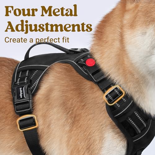 rabbitgoo Large Dog Harness, Easy Wear with 3 Buckles and Lift Handle - color: Black, size: Small