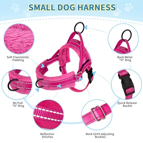 SlowTon No Pull Small Dog Harness and Leash Set with Front Clip - color: Fuchsia, size: XX-Small
