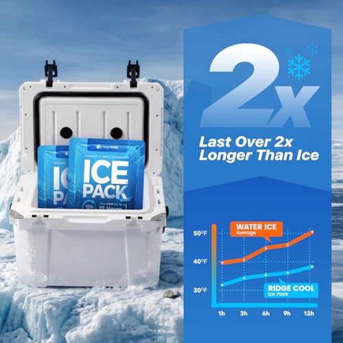 Ice Packs for Cooler, Reusable Ice Packs for Lunch Boxes, 4 Pack Long Lasting Freezer Packs, Leakproof Cooler Ice Packs for Lunch Bags and Coolers, BPA-Free, Food Safe - size: 4-Pack / 600g Each