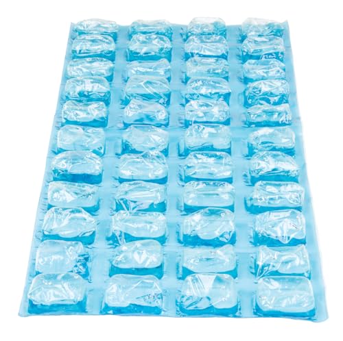 Igloo MaxCold Gel Ice Packs, Reusable Ice Packs for Coolers, Long Lasting Cold Freezer Pack for Lunch Boxes and Camping - color: Cube
