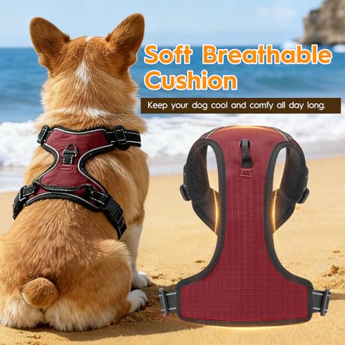 No Pull Dog Harness, No-Choke Soft Padded Reflective Dog Vest Harness with Front Clip & Top Handle, 2 Quick-Release Buckles, Adjustable for Small Medium Large Dogs - color: Neon Fuchsia, size: X-Small