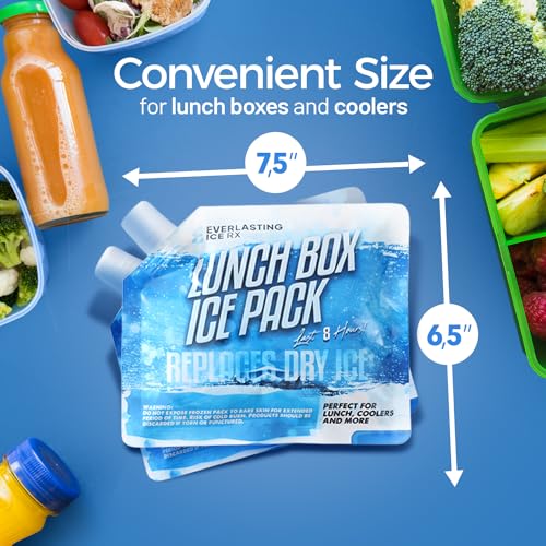 Everlasting Ice RX Reusable Ice Packs for Cooler (4 Pack) Up to 48 Hours Freezer Packs for Coolers and Lunch Boxes Cooler Ice Packs for Lunch Box, Camping, Fishing, Beach, Road Trips - size: Large 9.5" x 9.5" (4 Pack)