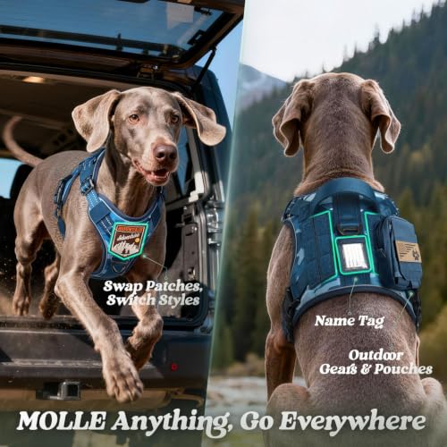 rabbitgoo Tactical Dog Harness for Small Dogs, No Pull Service Pet Vest - color: Blue Camo, size: S(Chest:16.1"-31.5",Neck:15.4"-21.6",Back:7.1")