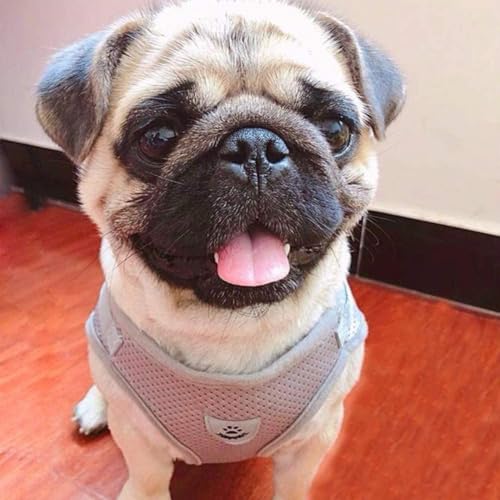 FEimaX Dog Harness and Leash Set for Walking, Soft Mesh Adjustable Easy Control Lightweight Cat Vest Harnesses with Reflective Strips, Escape Proof Small Dogs Cats Vests - color: Grey, size: XXS