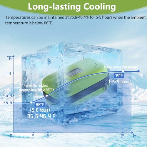 Insulin Cooler Travel Case TSA Approved Refrigerated Medicine Cooler for Travel w/Thermometer Temperature Diabetic Travel Case w/2 Reusable Ice Packs for Daily Life Trip - color: Green