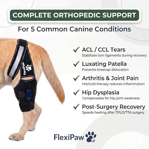 Dog Knee Brace for Torn ACL and CCL, Rear Hind Leg Brace for Dogs, Back Leg Support for Cruciate Ligament Tears, Cold Therapy Gel Pack, Removable Stabilizer Rods, Torso Strap, XL - size: Extra Large