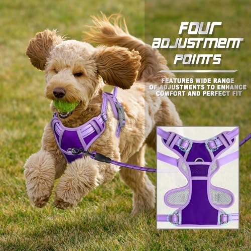BARKBAY Dog Harness No Pull for Small Sized Dog Front Back Clips,Dog Vest - color: Violet Purple & Purple, size: X-Small(Chest:15.5-19.5”)