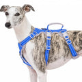 Huntboo Escape Proof Dog Harness, No Pull Reflective Harness with Lift Handle,Adjustable Pet Vest with Front and Back Leash Clips for Small Medium Large Dogs Walking Hiking Training (Sea Blue,L) - color: Sea Blue, size: Large(Pack of 1)