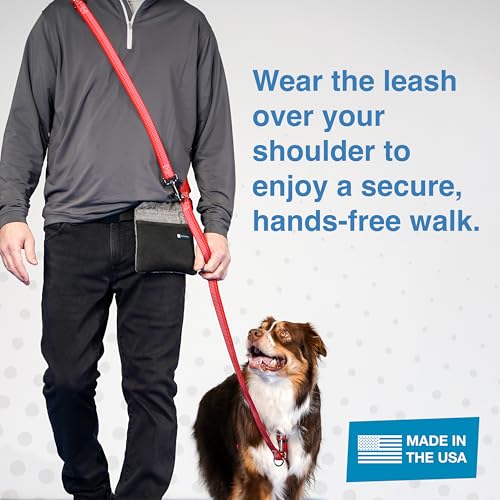 Blue-9 Reflective 6ft Multi-Function Dog Leash with Traffic Loop, Grey, S/M - color: Reflective Grey, size: Small/Medium