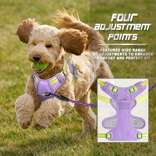 BARKBAY Dog Harness No Pull for Small Sized Dog Front Back Clips,Dog Vest - color: Violet Purple & Sunlight, size: X-Small(Chest:15.5-19.5”)