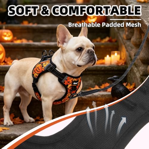 PUPTECK Halloween Dog Harness Small Sized Dog, Step in Adjustable Reflective Dog Vest Harness Escape Proof, No Pull Soft Padded Harness Easy Control, Black M - color: Black(Halloween), size: M (CHEST: 14.5"-20")