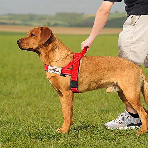 Annchwool No Pull Dog Harness with Soft Padded Handle(Red,XS,1 in Width) - color: Red, size: XS