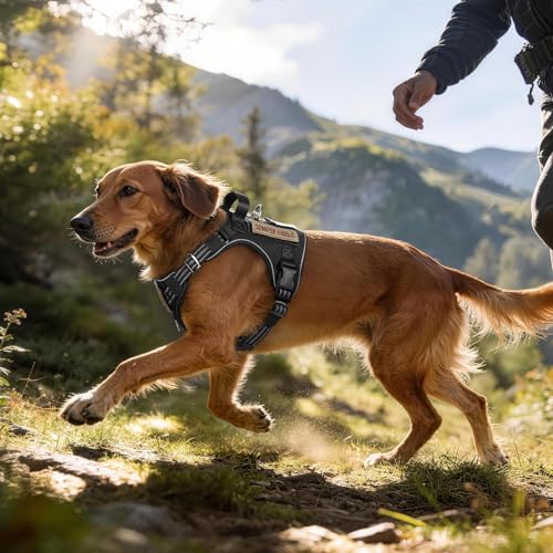 rabbitgoo Tactical Dog Harness for Small Dogs, No Pull Service Pet Vest - color: Black, size: S(Chest:16.1"-31.5",Neck:15.4"-21.6",Back:7.1")