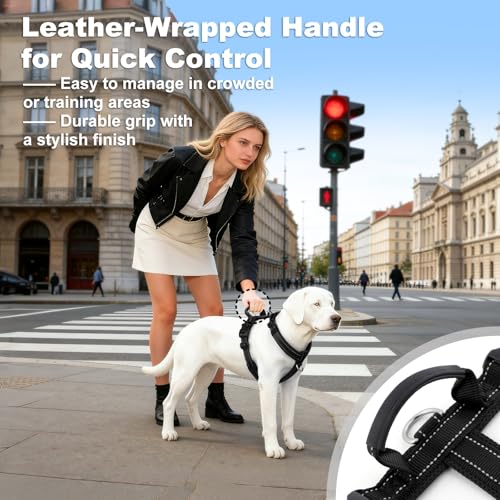 No Pull Dog Harness with Handle, Reflective Soft Mesh Padded Vest - color: Black, size: M