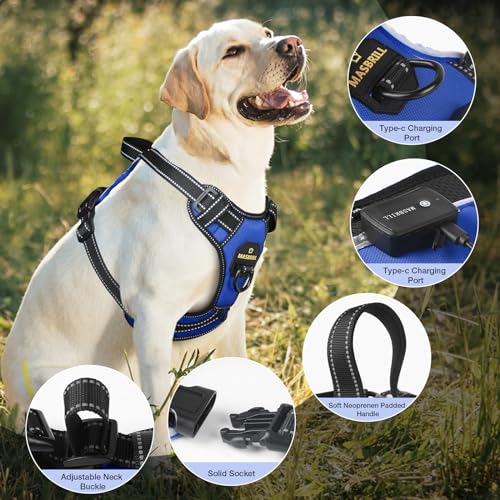 MASBRILL LED Dog Harness - No Pull Light Up Rechargeable Reflective Glow Vest for Sizes Small to Large - color: Blue, size: L
