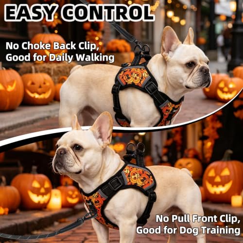 PUPTECK Halloween Dog Harness Small Sized Dog, Step in Adjustable Reflective Dog Vest Harness Escape Proof, No Pull Soft Padded Harness Easy Control, Black S - color: Black(Halloween), size: S (CHEST: 13"-18")