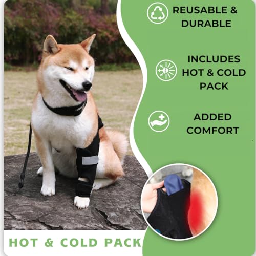 Universal Dog Knee Brace with Hot/Cold Therapy Pack, Adjustable, Breathable, Extra Comfortable Collar with Stabilising Back Brace (Small) - size: Small