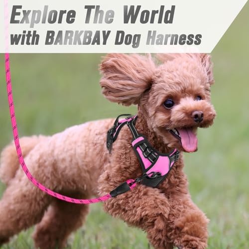 BARKBAY Dog Harness No Pull for Small Sized Dog Front Back Clips,Dog Vest - color: Pink, size: X-Small(Chest:15.5-19.5”)