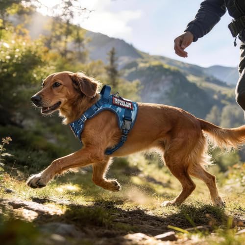 rabbitgoo Tactical Dog Harness for Small Dogs, No Pull Service Pet Vest - color: Blue Camo, size: S(Chest:16.1"-31.5",Neck:15.4"-21.6",Back:7.1")