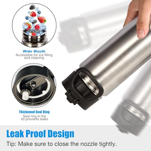 Volhoply 24oz Insulated Water Bottle with Straw Lid, Silver, 1-Pack - color: Silver