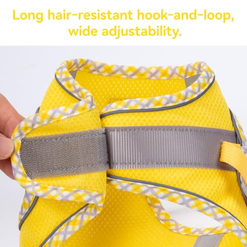 Petank Step in Dog Harness No Pull and Leash for Small Medium Dogs Cats. - color: Yellow, size: XXXS