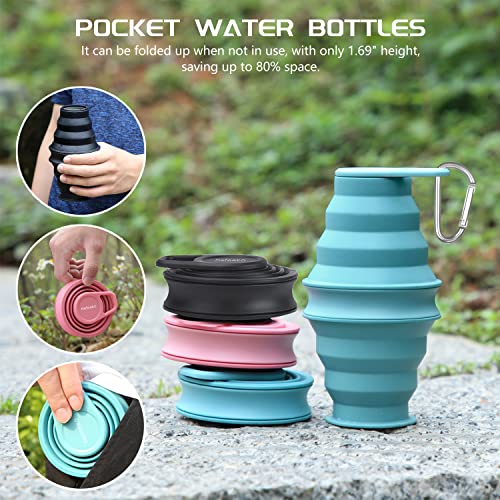 Nefeeko Collapsible Water Bottle, BPA Free Silicone Foldable Water Bottles - color: BUPK, style: 2 Pack