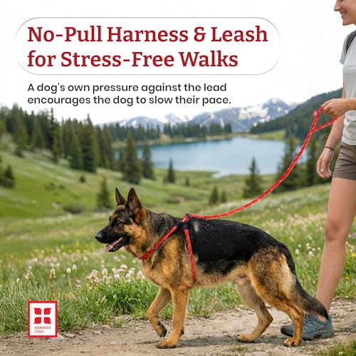 Harness Lead No Pull Dog Harness and Leash Set, Anti Pull Dog Harness for All Breeds and Sizes, One-Piece Cushioned Rope Design Safely Prevents Escaping and Pulling (Medium/Large, Pink) - color: Pink