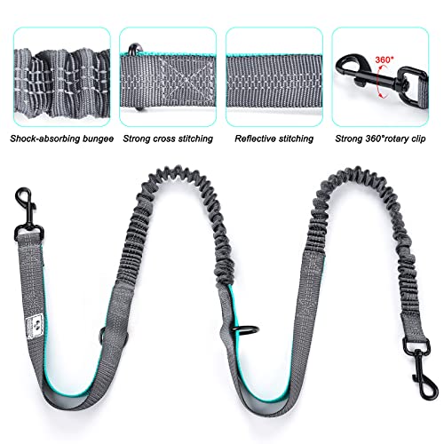 SHINE HAI Retractable Hands Free Dog Leash with Dual Bungees for 2 Dogs, Adjustable Waist Belt, Reflective Stitching Leash for Running Walking Hiking Jogging Biking Black - Gray2 - color: Gray