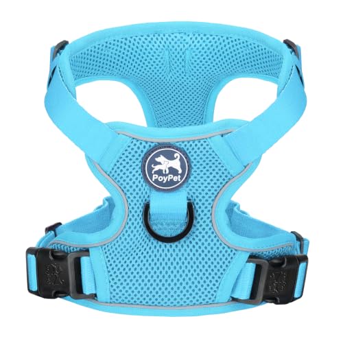 PoyPet Mesh Dog Harness, Reflective Breathable Puppy Vest for Small Dogs - color: Blue, size: S