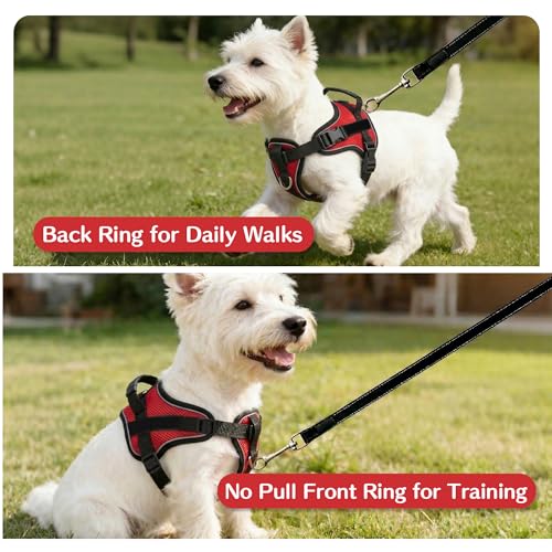 AIITLE No-Pull Dog Harness Reflective Mesh Vest Adjustable, Red S