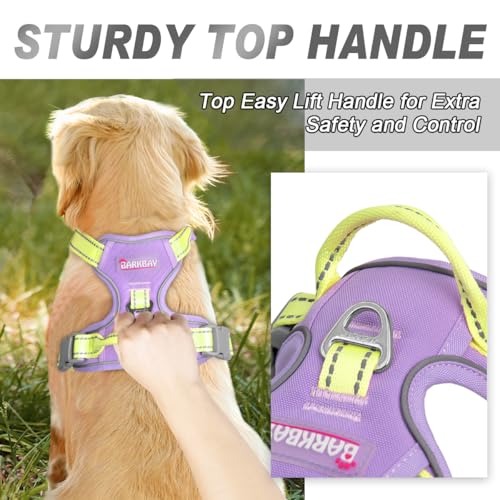 BARKBAY Dog Harness No Pull for Small Sized Dog Front Back Clips,Dog Vest - color: Violet Purple & Sunlight, size: X-Small(Chest:15.5-19.5”)