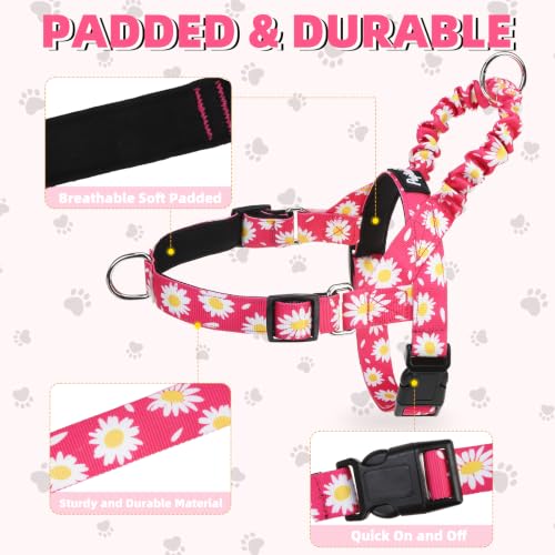 PUPTECK No Pull Dog Harness Small Sized Dog, Adjustable Reflective Pet Vest Harness with Bungee Handle, Escape Proof No Choke Harness for Small Dogs Walking Training, Fuschia Daisy S - color: Fuschia, size: S (NECK: 15"-17.5", CHEST: 18.5"-24")
