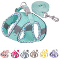Petank Step in Dog Harness No Pull and Leash for Small Medium Dogs Cats. - color: Green, size: XXXS