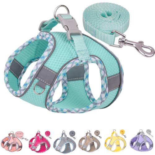 Petank Step in Dog Harness No Pull and Leash for Small Medium Dogs Cats. - color: Green, size: XXXS