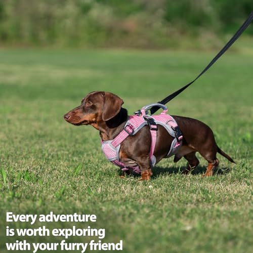Huntboo Escape Proof Dog Harness, Dachshund Harness, Reflective Dog Harness with Handle, Durable,Adjustable Vest for Small Medium Large Dogs Walking, Training, and Running Gear (Pink,M) - color: Pink, size: Medium(Pack of 1)