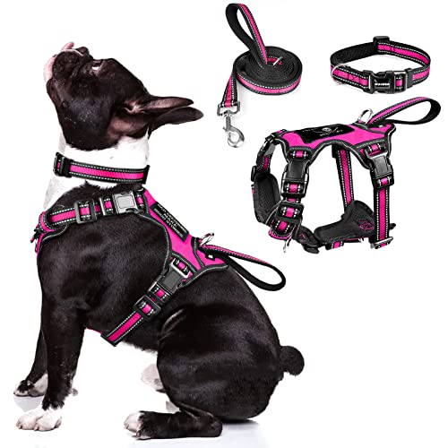 WINSEE Pet Harness Collar and Leash Set, All-in-one Reflective Dog Harness No Pull with Adjustable Buckles for Puppies, Small, Medium, Large, and Extra-Large Dogs (Medium, Rosy) - color: Rosy, size: Medium
