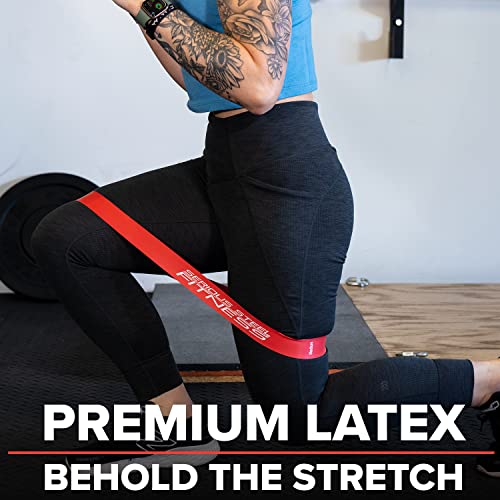 Serious Steel Fitness Mini Resistance Loop Bands | Rehab and Prehab Stretch Bands | 12" Exercise Workout Bands (Sets of 5 Pack and Sets of 10 Pack Trainer Options Available!) - color: 12" Mini Bands