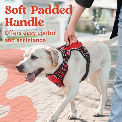 rabbitgoo Large Dog Harness, Easy Wear with 3 Buckles and Lift Handle - color: Red, size: Small