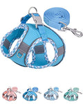 Petank Step in Dog Harness No Pull and Leash for Small Medium Dogs Cats. - color: Bule, size: XXS