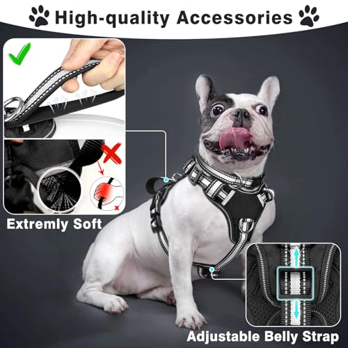 WINSEE Pet Harness Collar and Leash Set, All-in-one Reflective Dog Harness No Pull with Adjustable Buckles for Puppies, Small, Medium, Large, and Extra-Large Dogs (Medium, Black) - color: Black, size: Medium