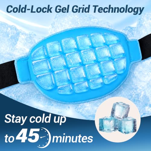 Comfytemp Ice Pack for Back Pain Relief, Sciatica Ease, 45 Min Long Lasting