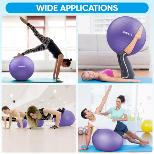 APEXUP Yoga Ball, 660 lbs Anti-Burst Exercise Ball with Pump, 5 Sizes - color: Purple, size: S (15"~18") 45cm