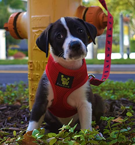 EcoBark Step in Dog Harness - Eco-Friendly Teacup Dog Harnesses for XS and Small Dogs - Reflective and Adjustable Mini Body Halter Vest -Tiny Soft Mesh Toy Breed Harness (Red, XS) - color: Red, size: XS- 5 to 6 lbs- Chest Up to 13 in (Pack of 1)