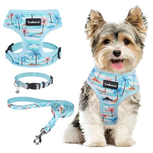 SCENEREAL Small Dog Harness and Leash Set, Coconut Tree, XS - color: Blue-Coconut Tree, size: XS: Chest Girth: 10"-14"