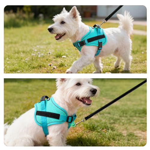 AIITLE No-Pull Dog Harness Reflective Mesh Vest Adjustable, Green XS - color: Green, size: XS