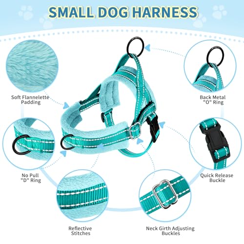 SlowTon No Pull Small Dog Harness and Leash Set with Front Clip - color: Teal, size: XX-Small