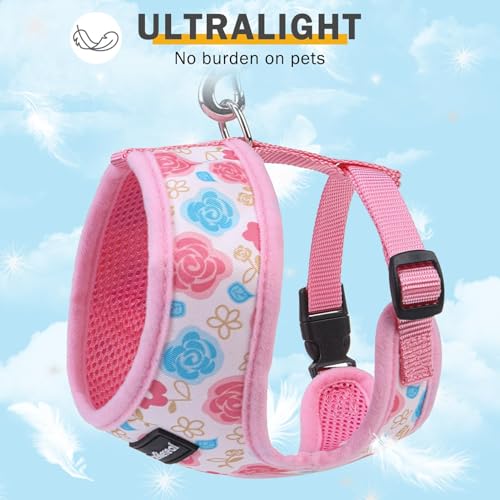 SCENEREAL Small Dog Harness and Leash Set, Flowers Pink, XS - color: Pink-Floral, size: XS: Chest Girth: 10"-14"
