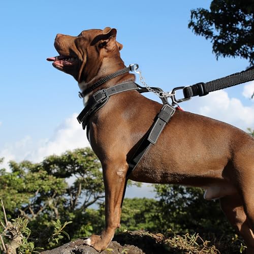 YUEPET 2 Pack 8.3 in Dog Collar Safety Clips, Stainless Steel Backup Clip - color: Stainless Steel*2