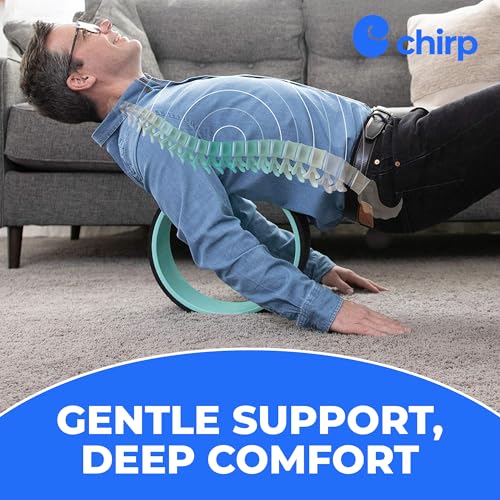 Chirp Wheel+ Foam Roller 4-Pack, Back & Neck Pain Relief, Mint - size: 4-Pack Mint